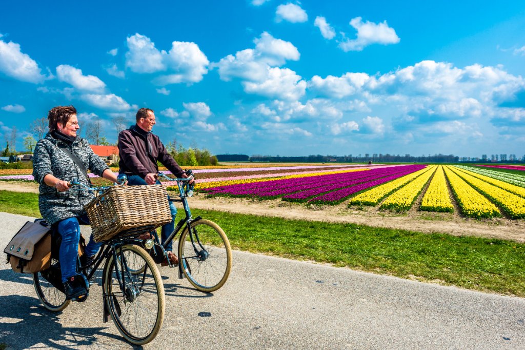 ¿Conoces la diferencia entre Holanda y los Países Bajos? ¿Conoces la diferencia entre Holanda y los Países Bajos?